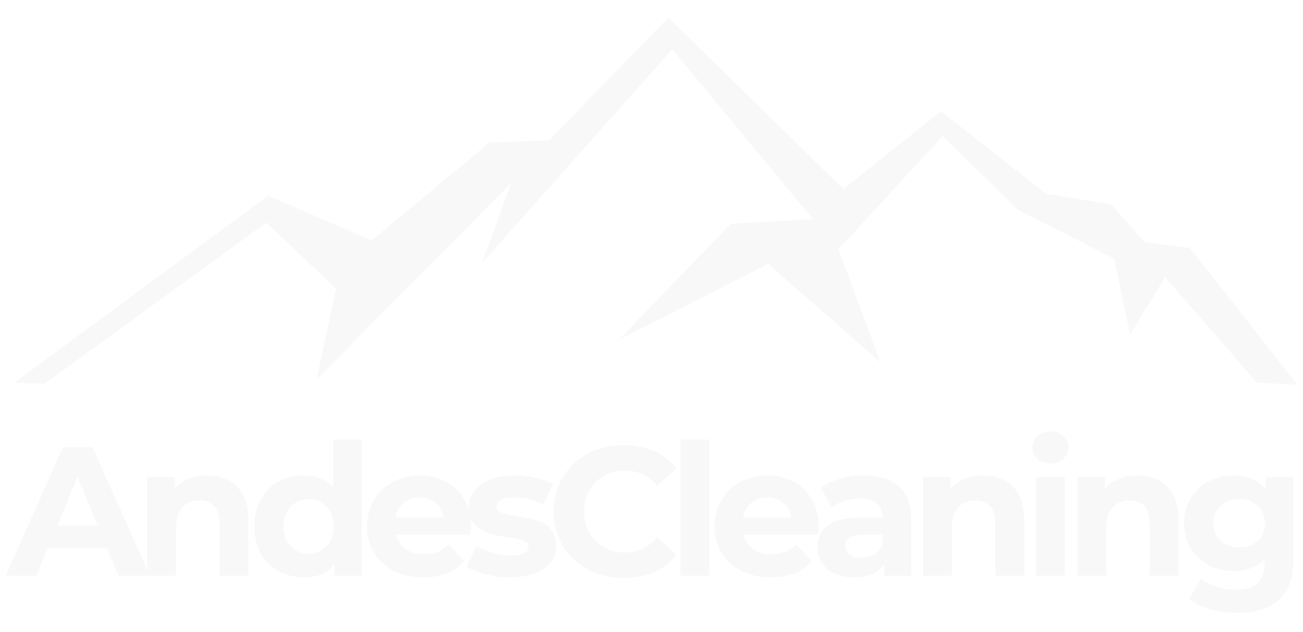 Andes Cleaning logo