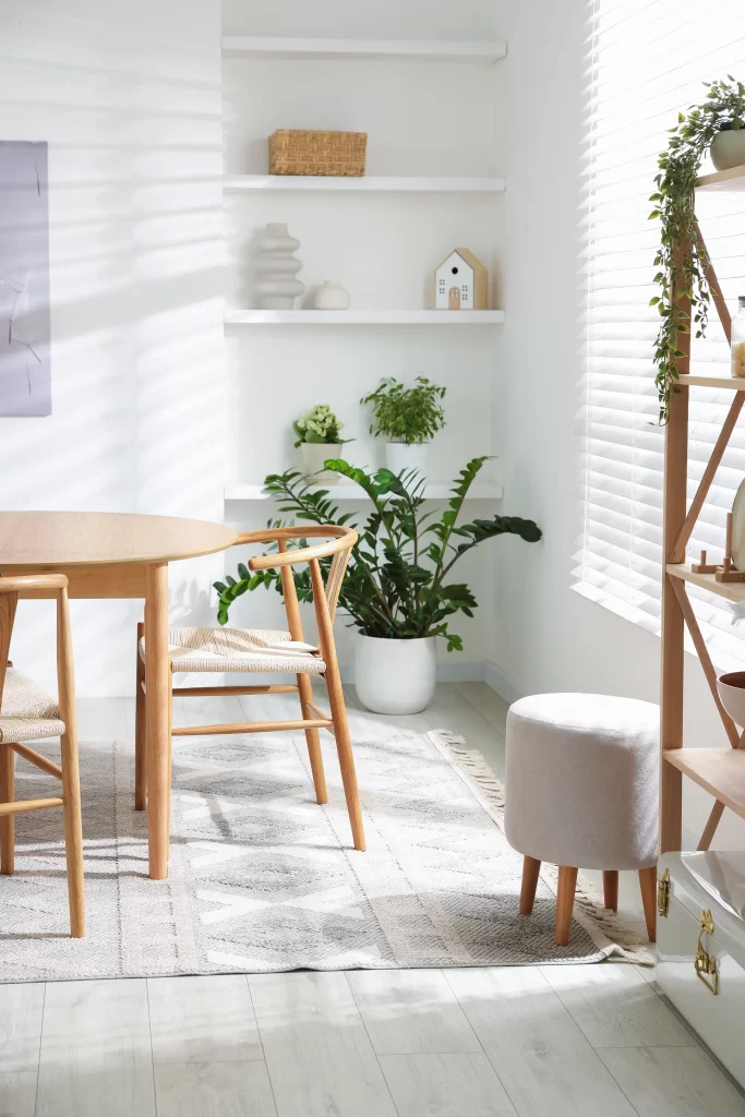 Eco-friendly cleaned home interior with natural light